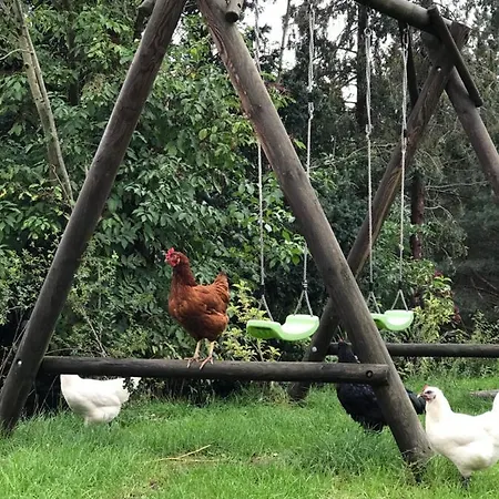 Im Zittauer Gebirge - Gemütliche Und Moderne Mit Terrasse Apartamento Eckartsberg