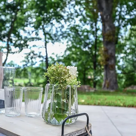 Im Zittauer Gebirge - Gemuetliche Und Moderne Mit Terrasse Apartment Eckartsberg