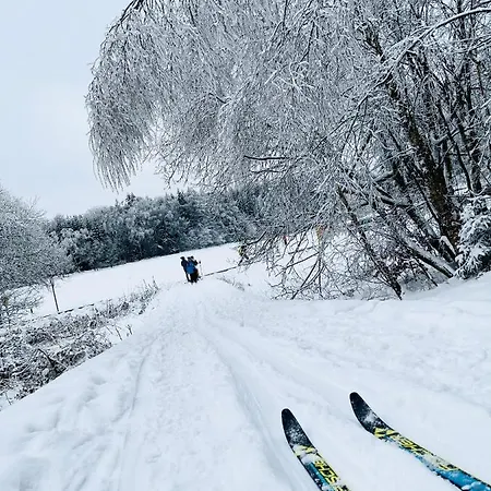 Apartamento Im Zittauer Gebirge - Gemütliche Und Moderne Mit Terrasse