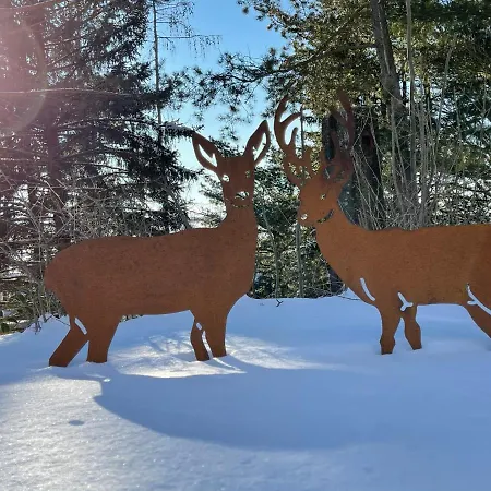 Apartamento Im Zittauer Gebirge - Gemütliche Und Moderne Mit Terrasse *