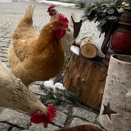 アパート Im Zittauer Gebirge - Gemuetliche Und Moderne Mit Terrasse Eckartsberg