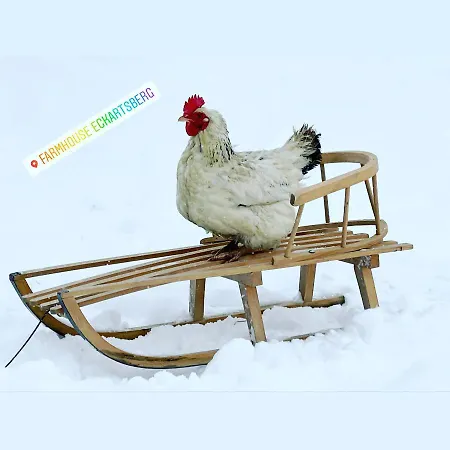 アパート Im Zittauer Gebirge - Gemuetliche Und Moderne Mit Terrasse Eckartsberg