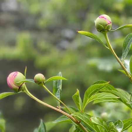 Im Zittauer Gebirge - Gemuetliche Und Moderne Mit Terrasse *