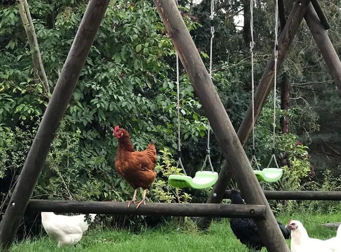 Im Zittauer Gebirge - Gemuetliche Und Moderne Mit Terrasse شقة Eckartsberg