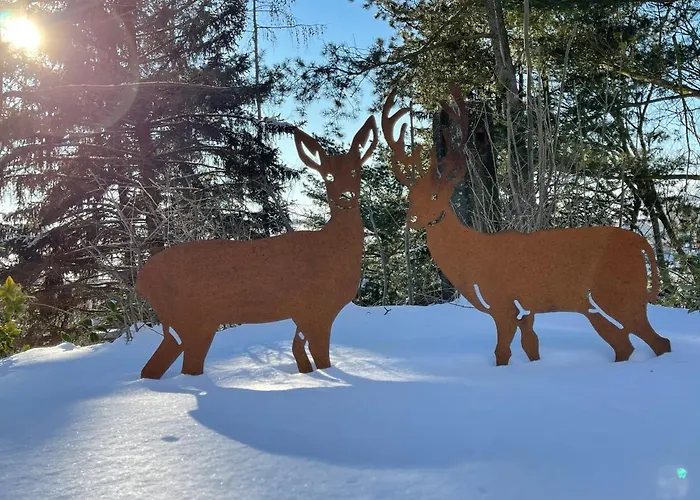 شقة Im Zittauer Gebirge - Gemuetliche Und Moderne Mit Terrasse *