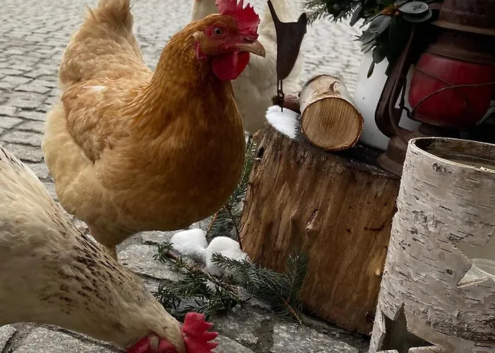 شقة Im Zittauer Gebirge - Gemuetliche Und Moderne Mit Terrasse Eckartsberg