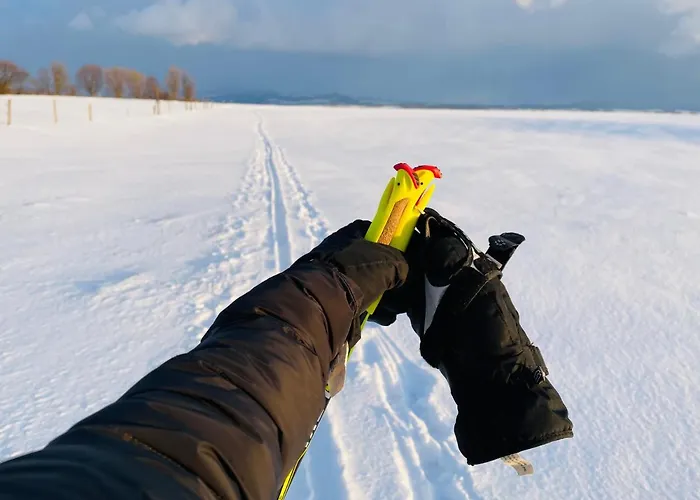 Διαμέρισμα Im Zittauer Gebirge - Gemuetliche Und Moderne Mit Terrasse *