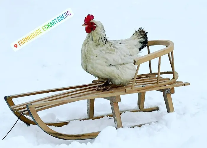 شقة Im Zittauer Gebirge - Gemuetliche Und Moderne Mit Terrasse Eckartsberg