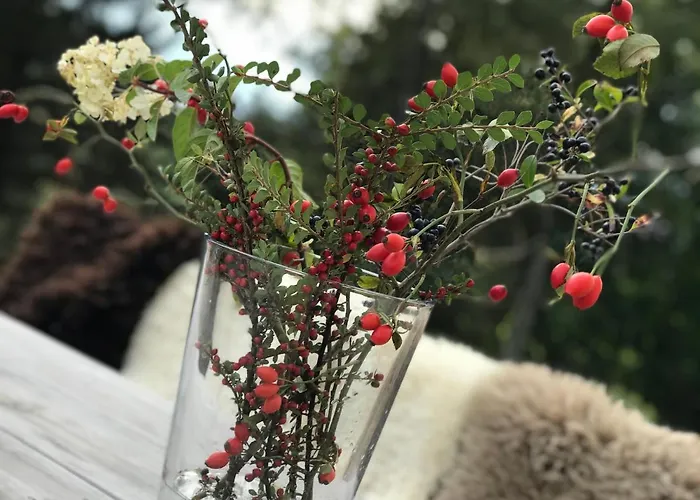 Im Zittauer Gebirge - Gemuetliche Und Moderne Mit Terrasse